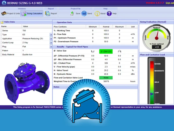 Servicios Bermad - Sizing